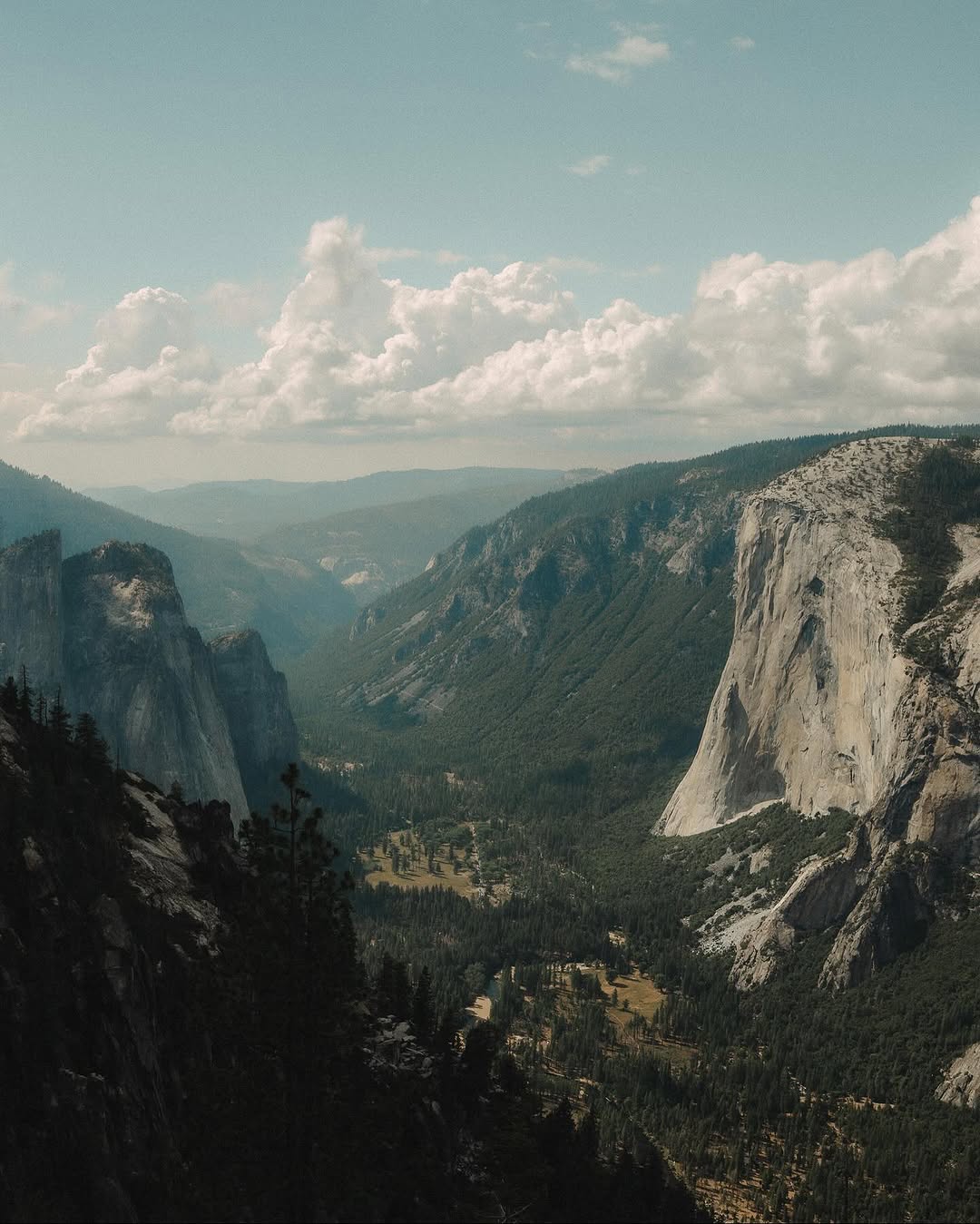 Photo by Braden League on October 14, 2025.