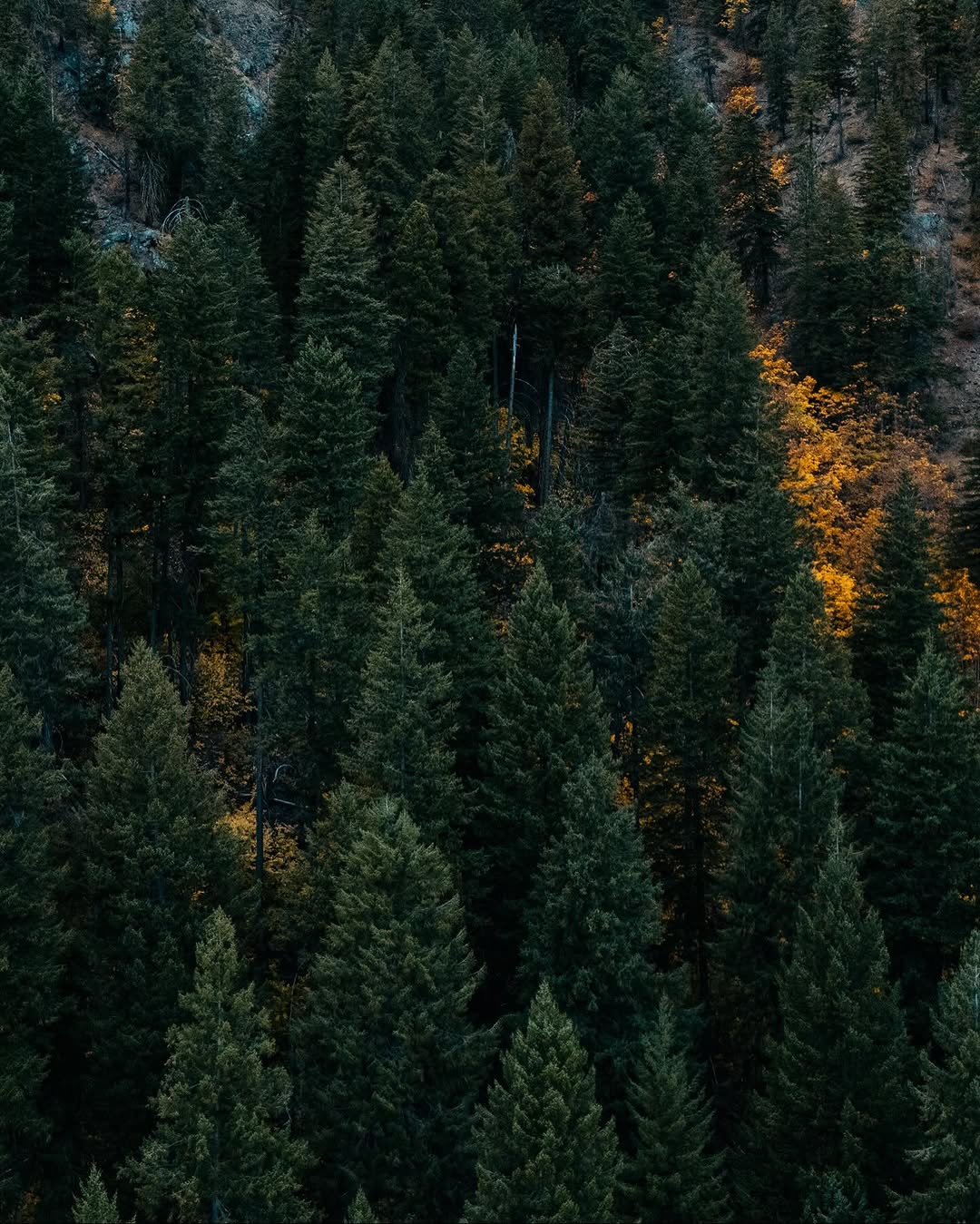 Photo by Braden League on November 23, 2025. May be an image of nature and text.